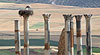 Volubilis Marocco 2005